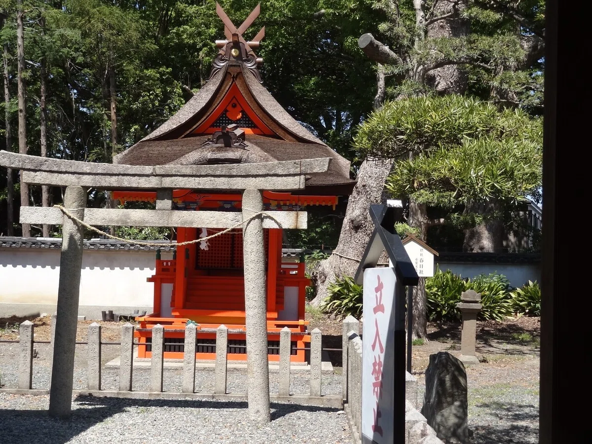 画像12