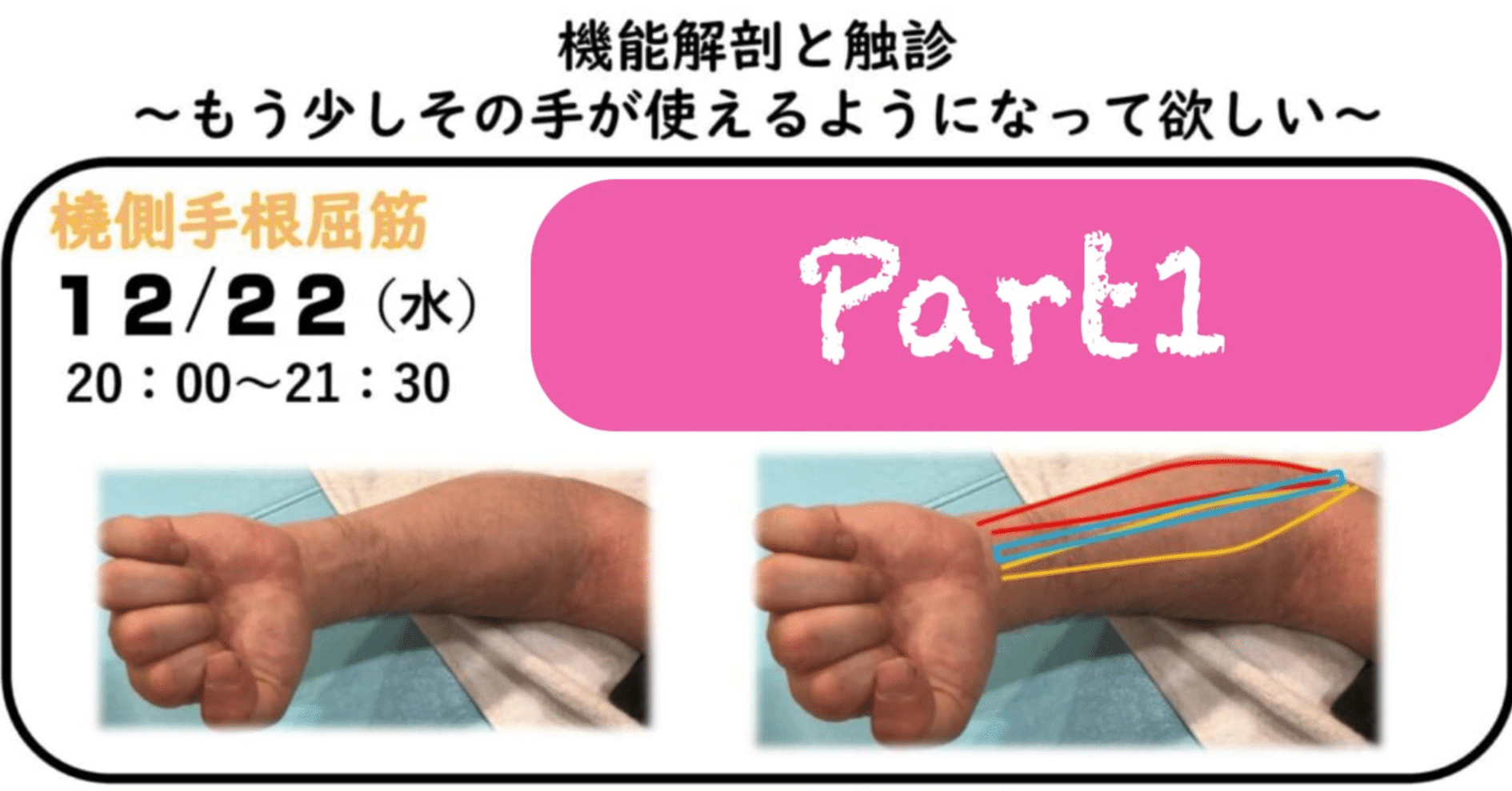 機能解剖と触診〜橈側手根屈筋〜セミナー動画〜VIP会員無料〜「1話