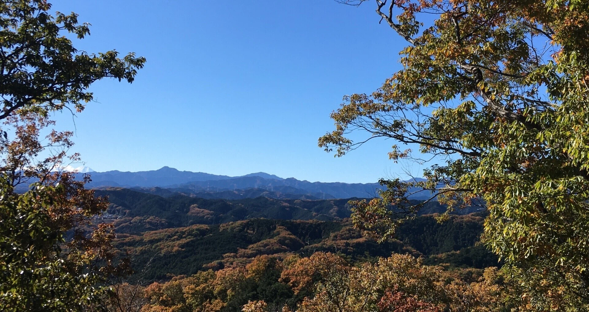 ゆみ吉｜note