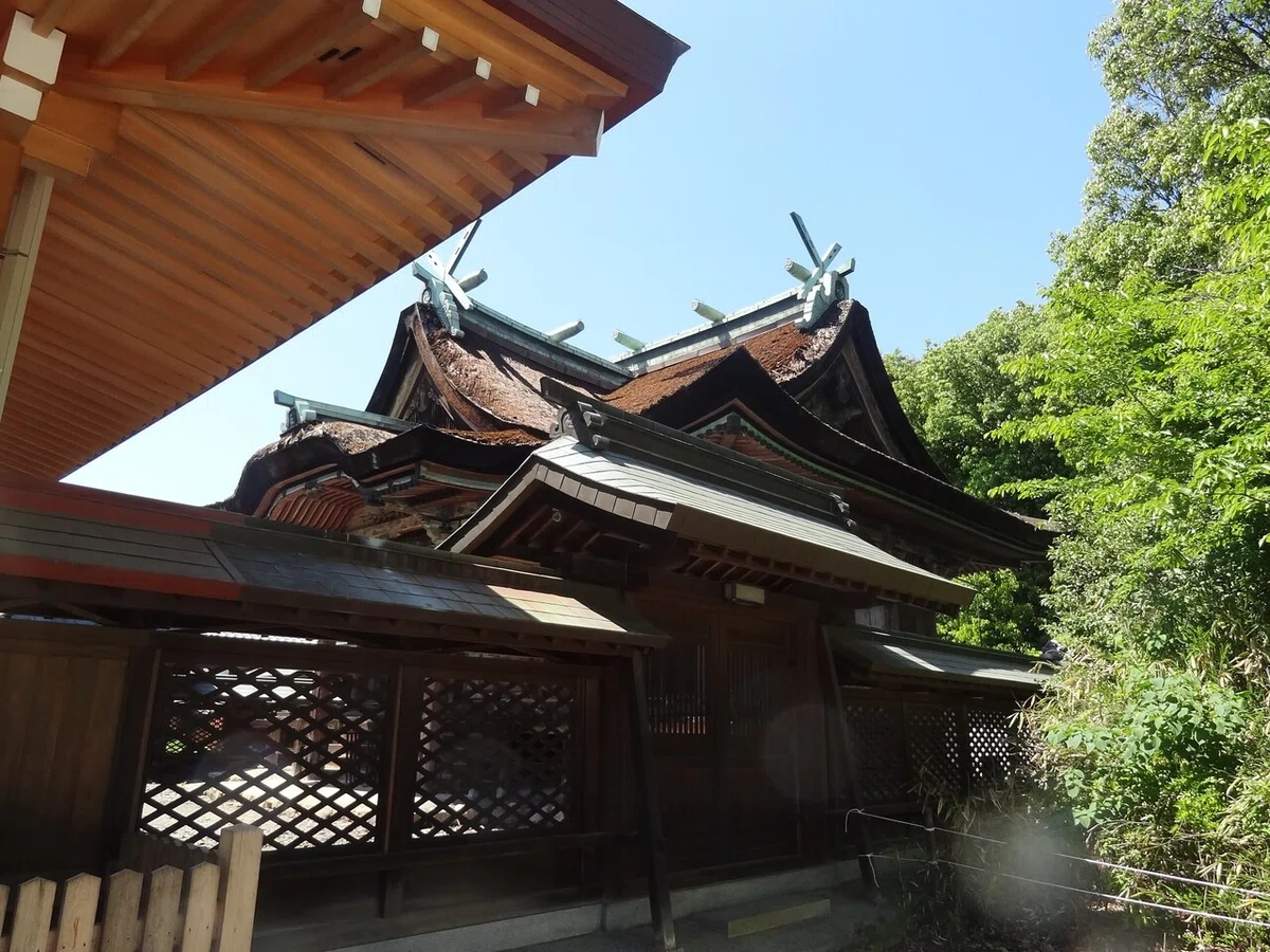 画像4