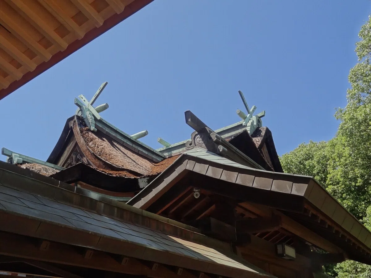 画像5