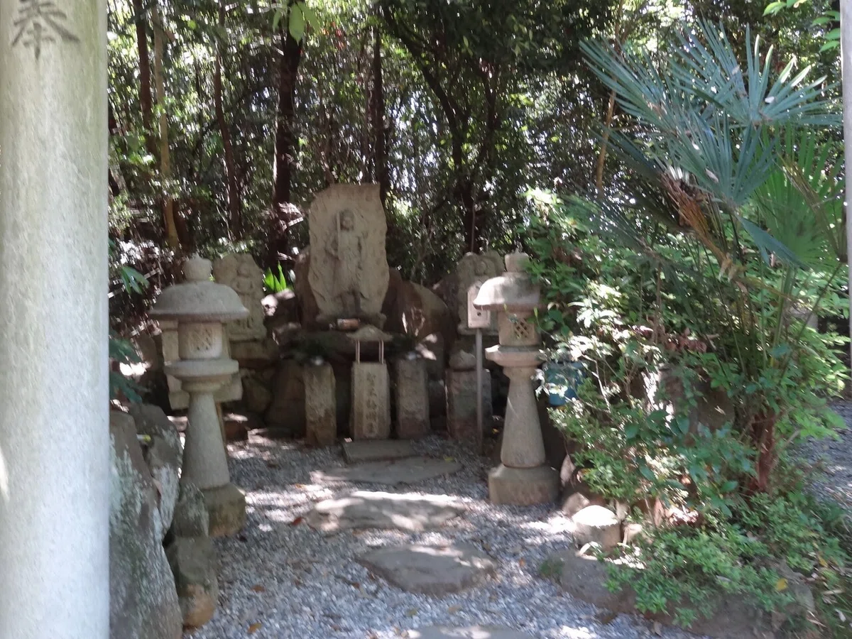 画像7