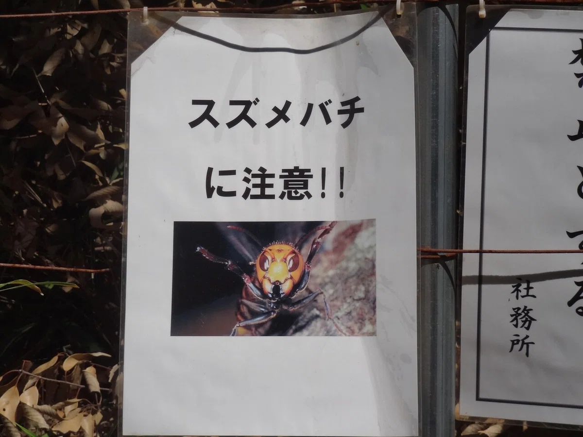 画像8