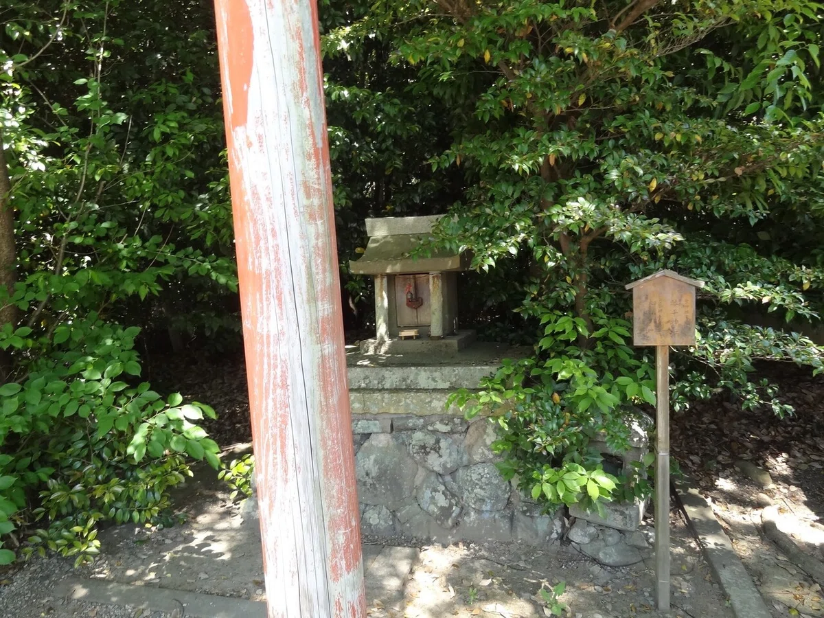画像12