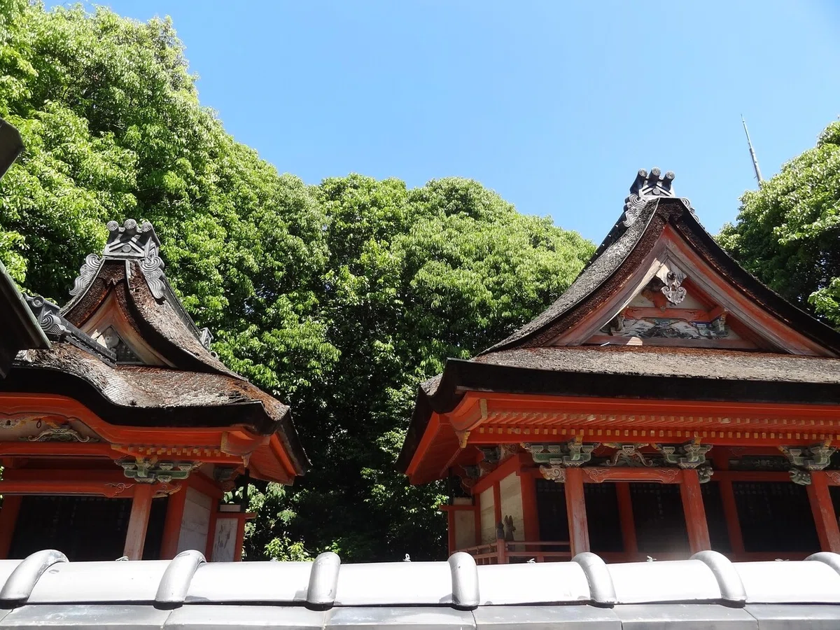 画像14