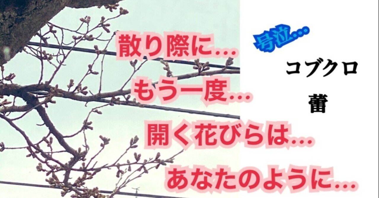 蕾 コブクロ の歌詞とたーにゃんこ たーにゃんこ Note 蕾 コブクロ の歌詞とたーにゃんこ たーにゃんこ Note