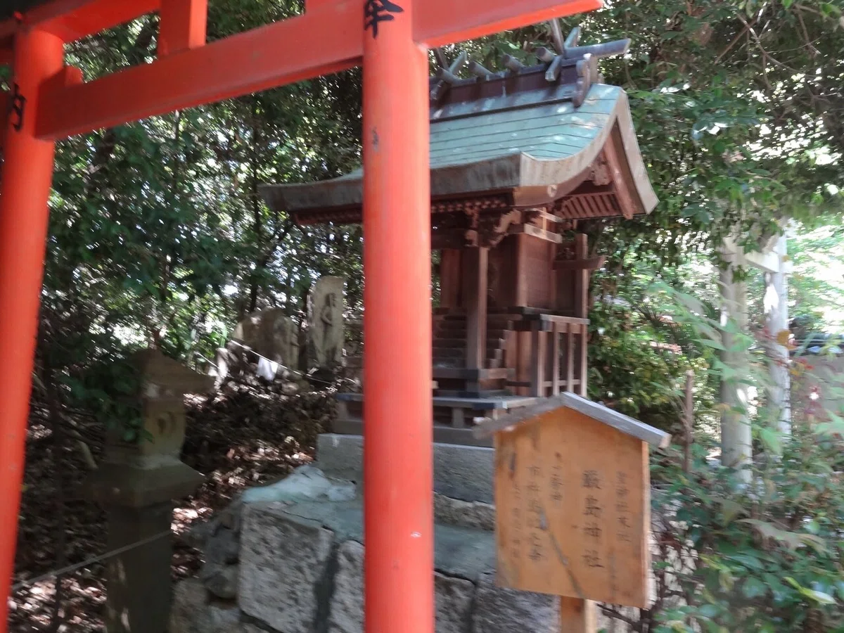 画像16