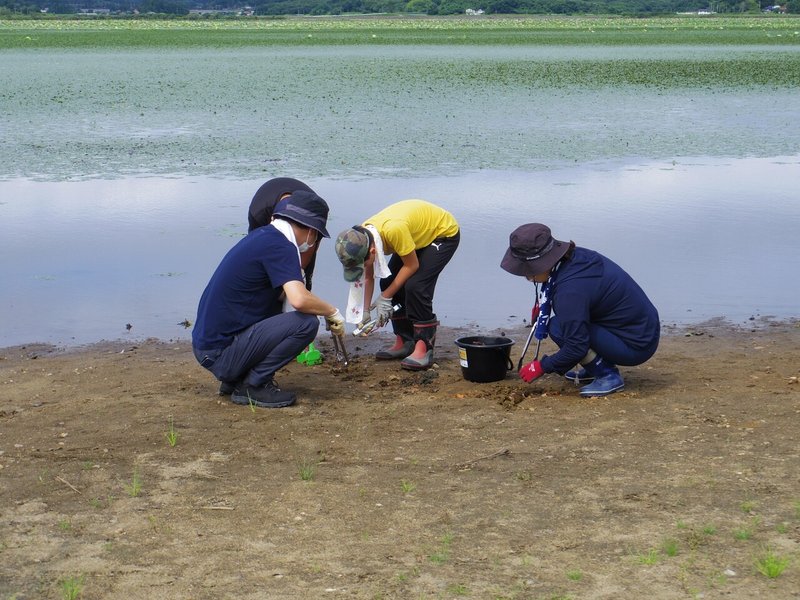 20210801_日曜日のゴミ拾い －CLEAN WETLANDS Project 2 (7)