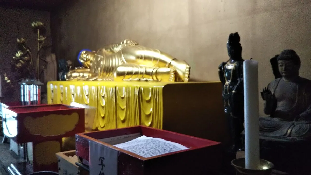 画像9