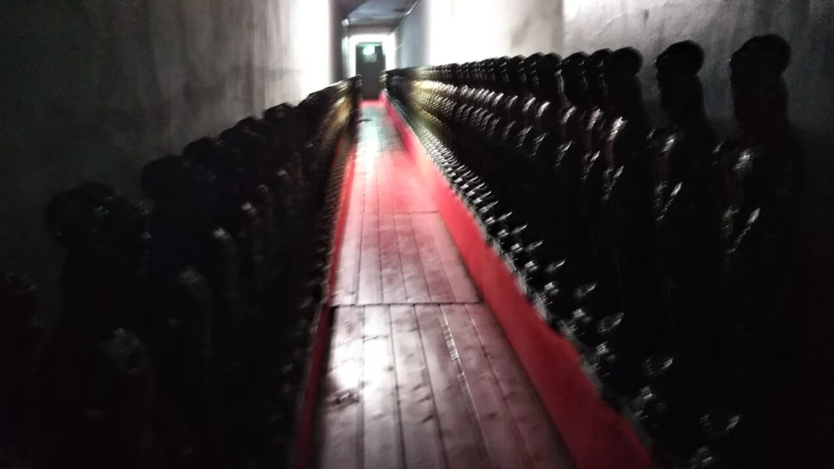 画像11