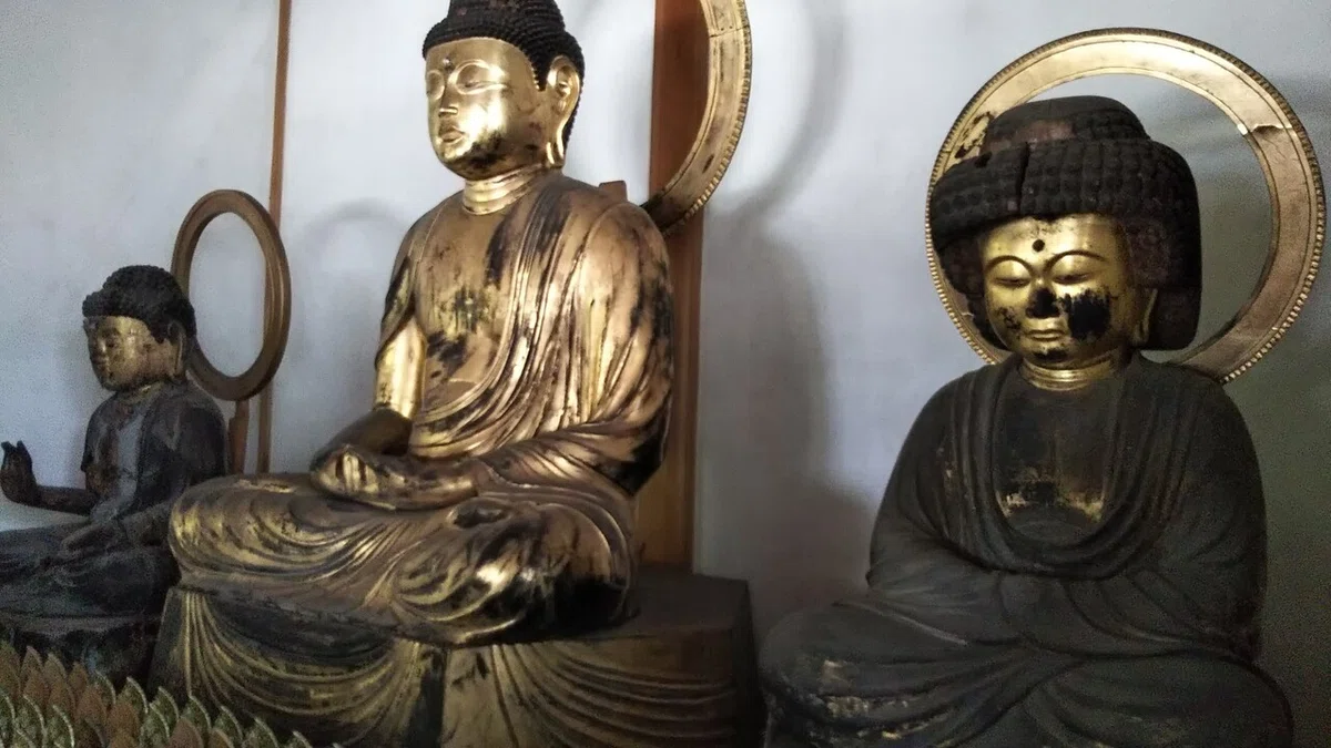 画像15