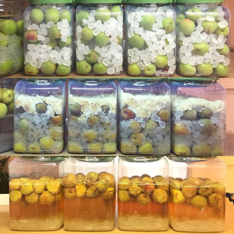 18 梅シロップ記録 K子 Note