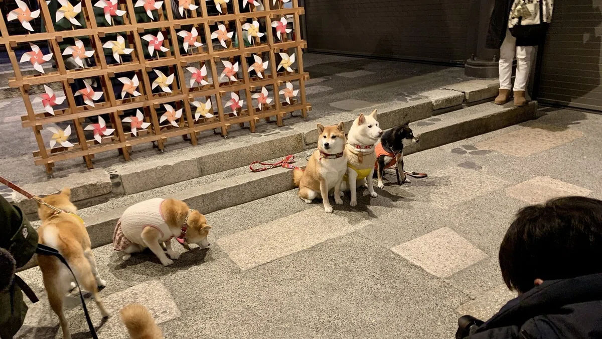 画像11