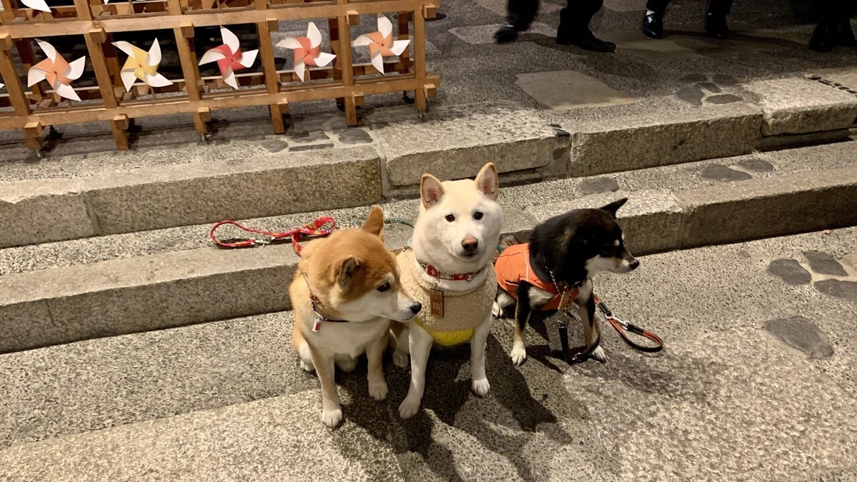 画像12