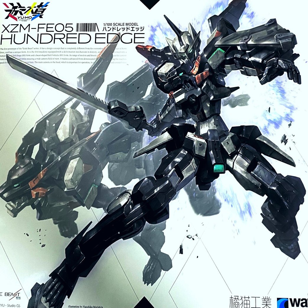 生まれて初めて中華キットを作った｜nyapoona