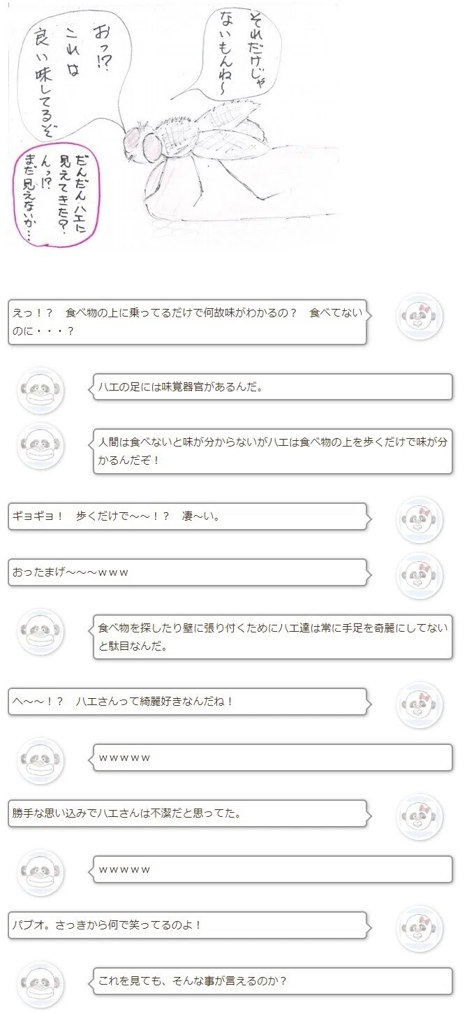 画像4