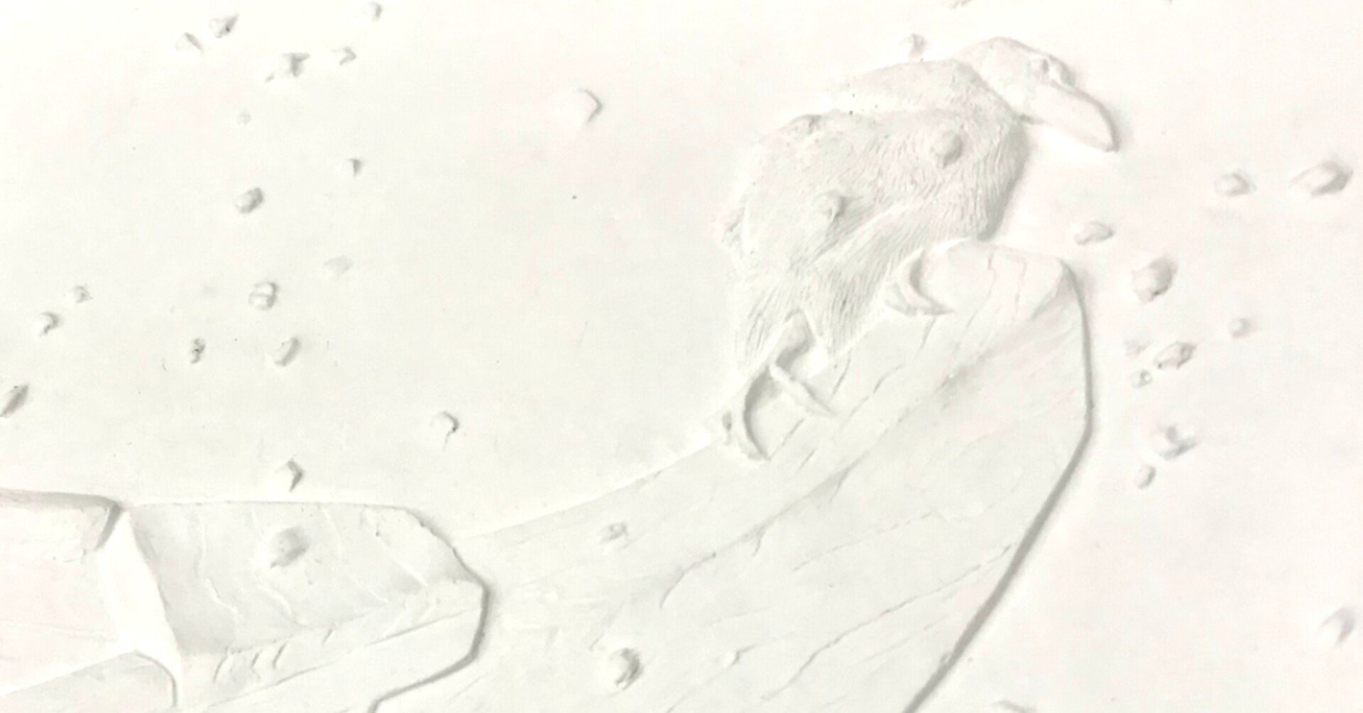 京都国立近代美術館 - 竹内栖鳳 『 春雪 』 彫刻エンボス加工 【前半