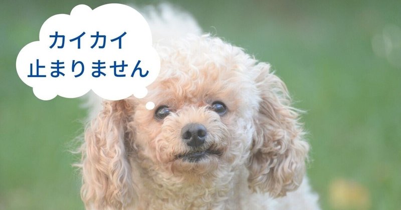 Topet の新着タグ記事一覧 Note つくる つながる とどける