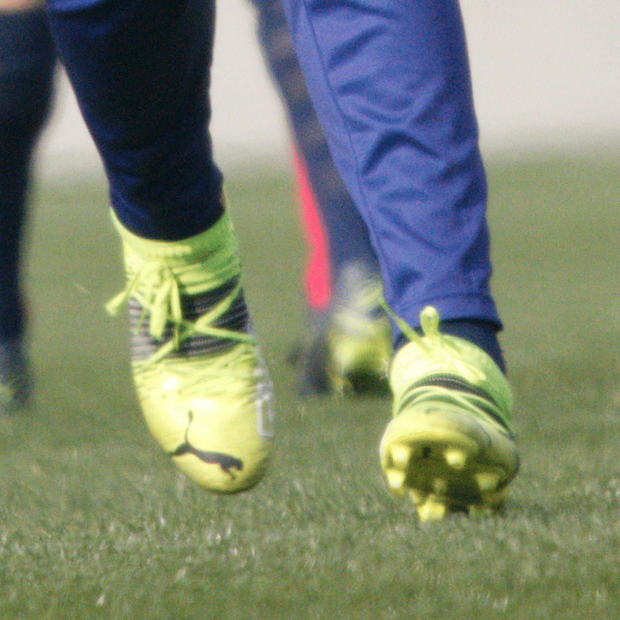 柳川の伝説のスパイク