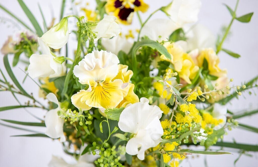 Mimosa ミモザ 世界各国で 春の訪れを告げる花 フラワースクール Hana Kichi Note Mimosa ミモザ 世界各国で 春の訪れを告げる花 フラワースクール Hana Kichi Note