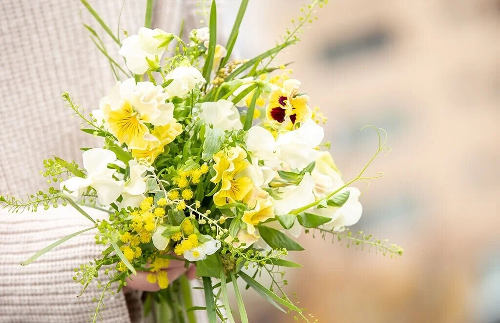 Mimosa ミモザ】世界各国で、春の訪れを告げる花。｜フラワースクール