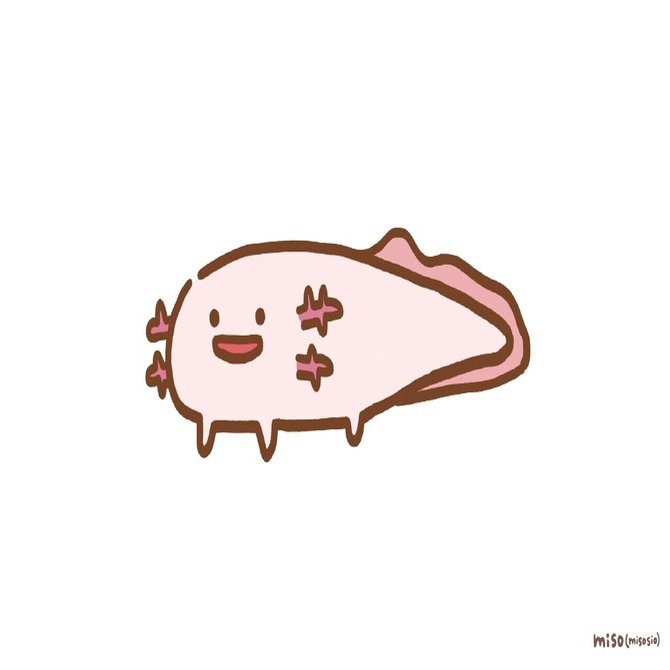 今日のイラストいろいろ 林みそ Note