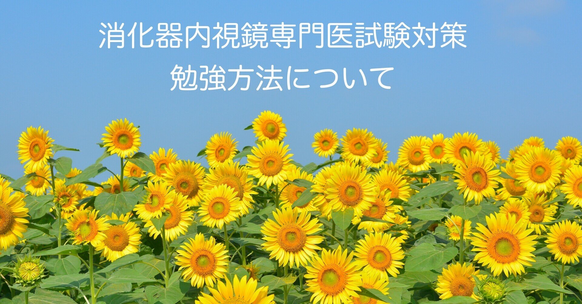 消化器内視鏡専門医試験対策(勉強方法について)|Dr.G_ 消化器内視鏡専門医試験対策(勉強方法について)|Dr.G_