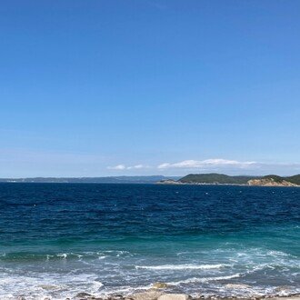 アラサーゲイのたぬき