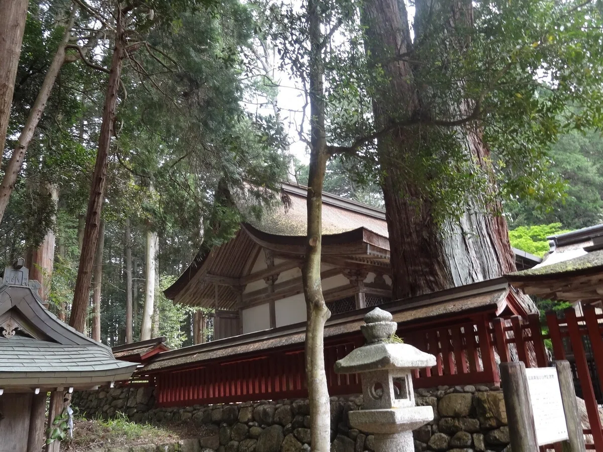 画像7