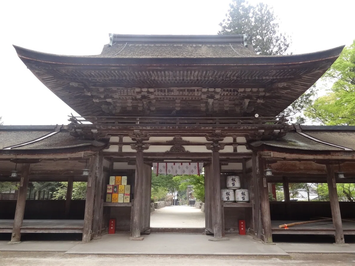 画像11