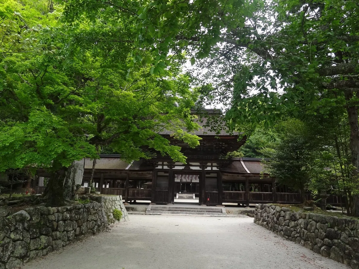 画像13