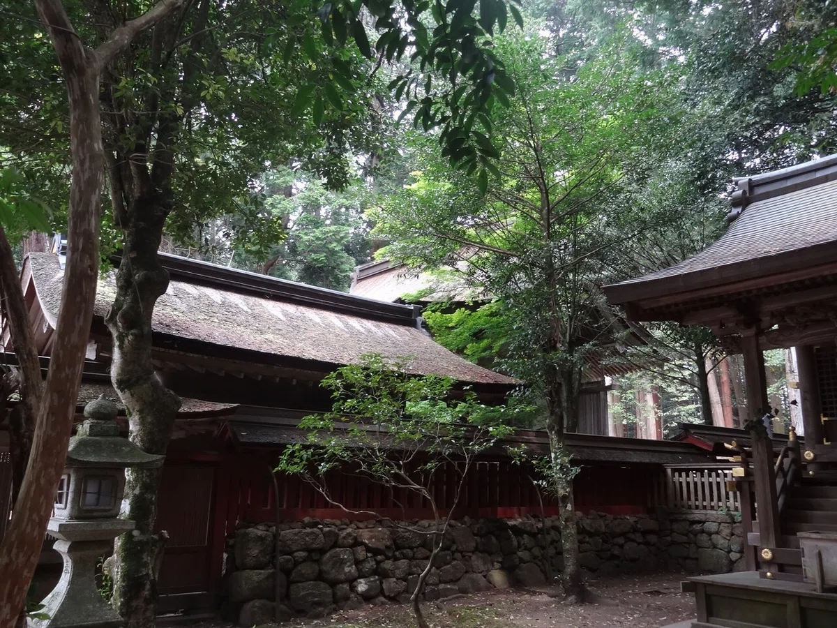画像14