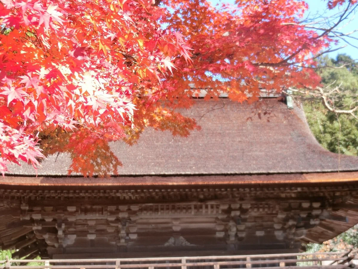 画像15