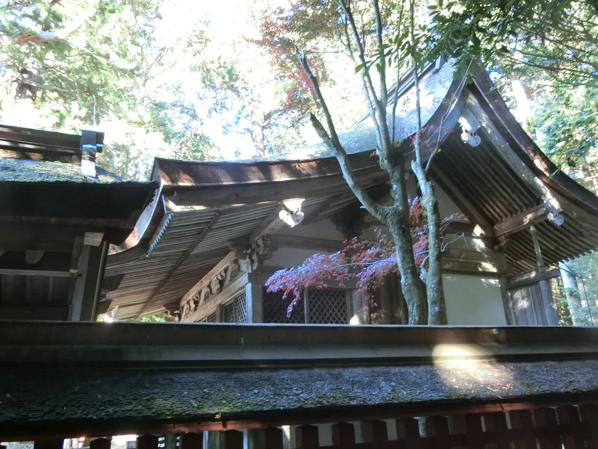 画像21