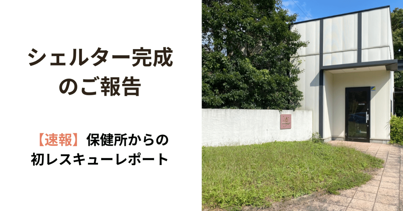 犬猫タウン前橋 オープン わんにゃんレスキュー開始します 犬猫生活株式会社 旧オネストフード Note 犬猫タウン前橋 オープン わんにゃんレスキュー開始します 犬猫生活株式会社 旧オネストフード Note