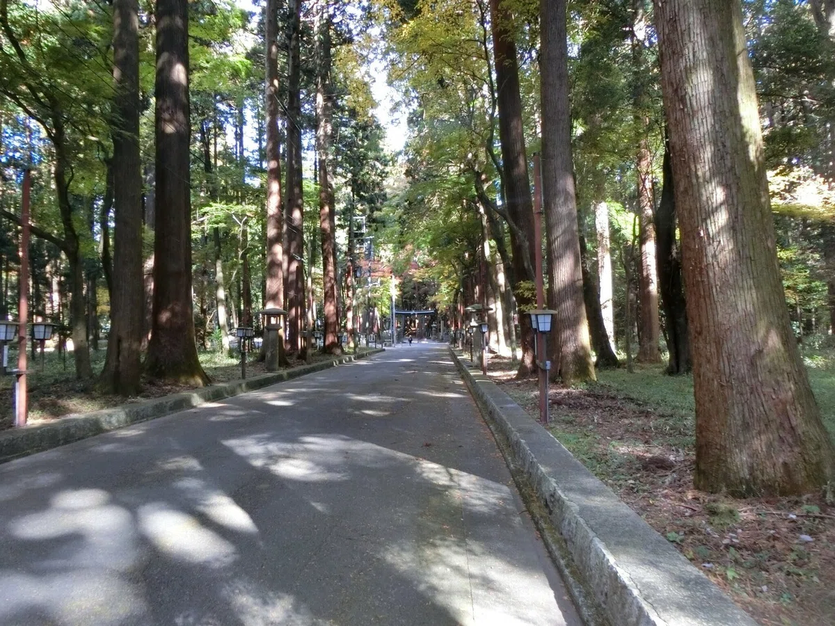 画像2