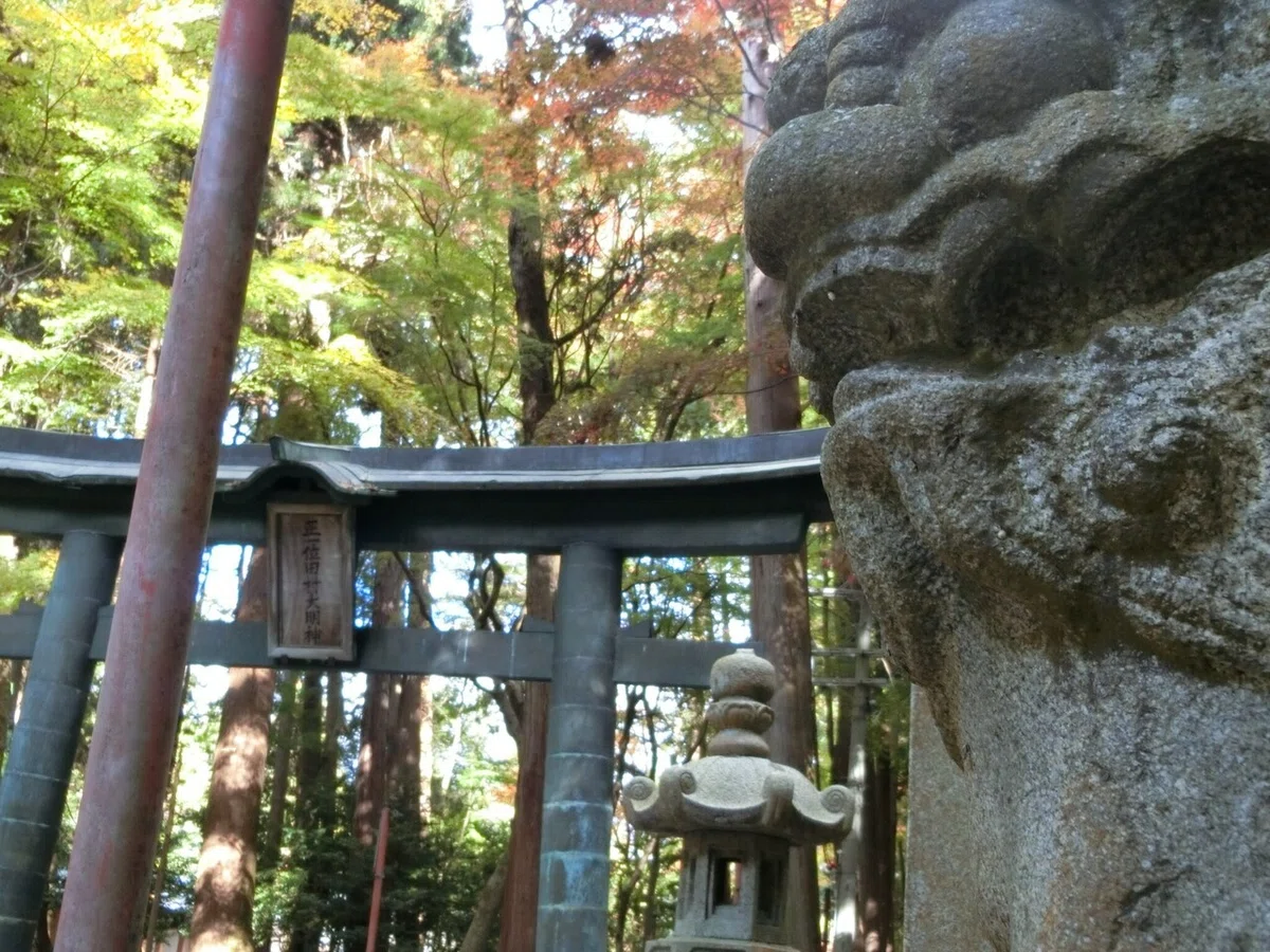 画像3
