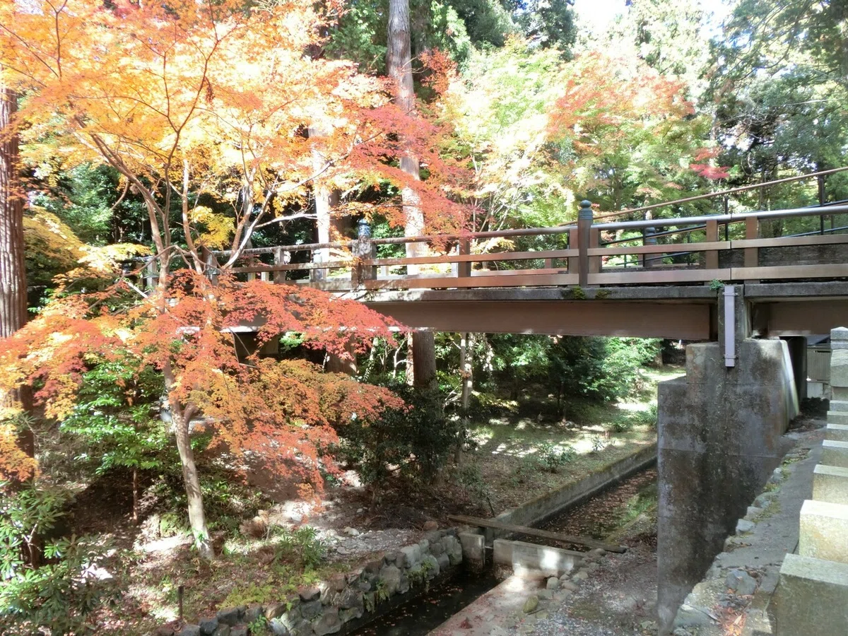画像9