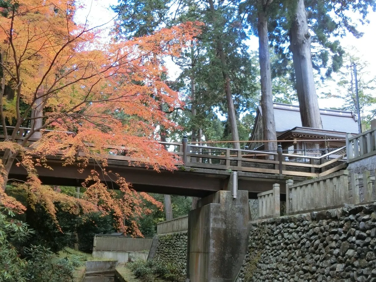 画像11