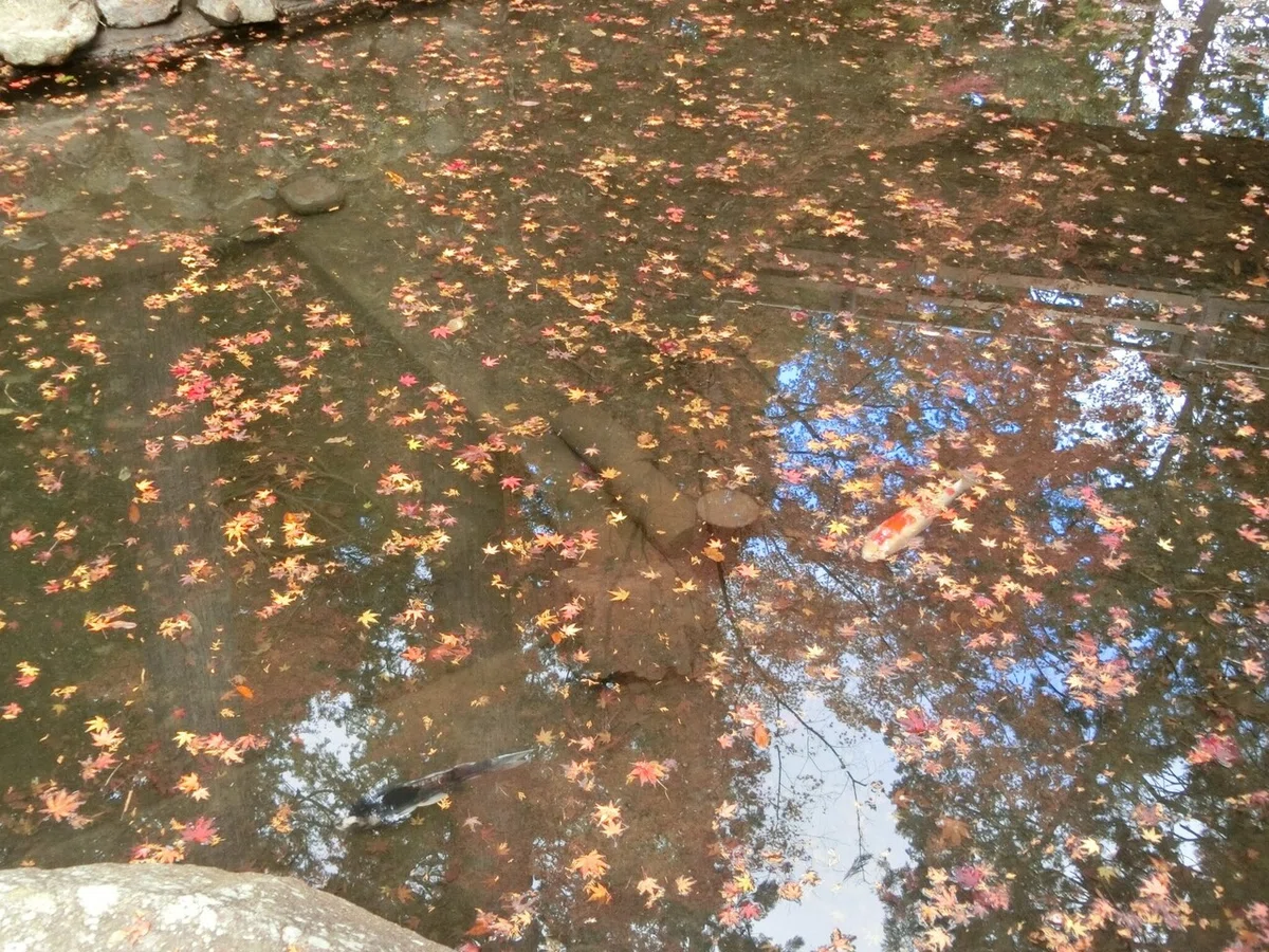 画像12