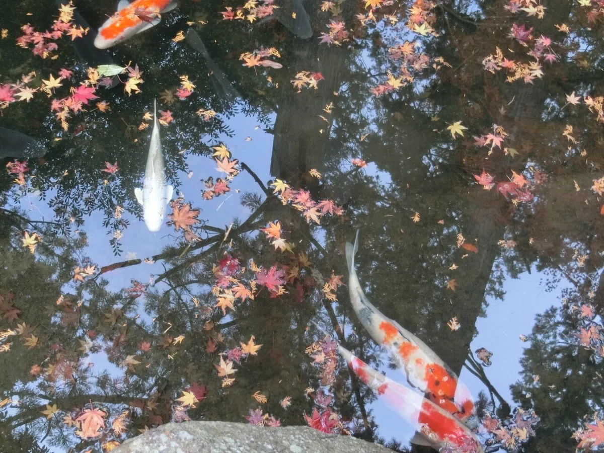 画像13
