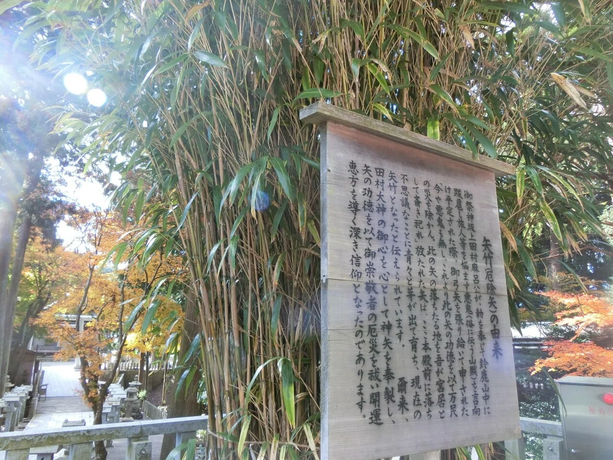 画像15
