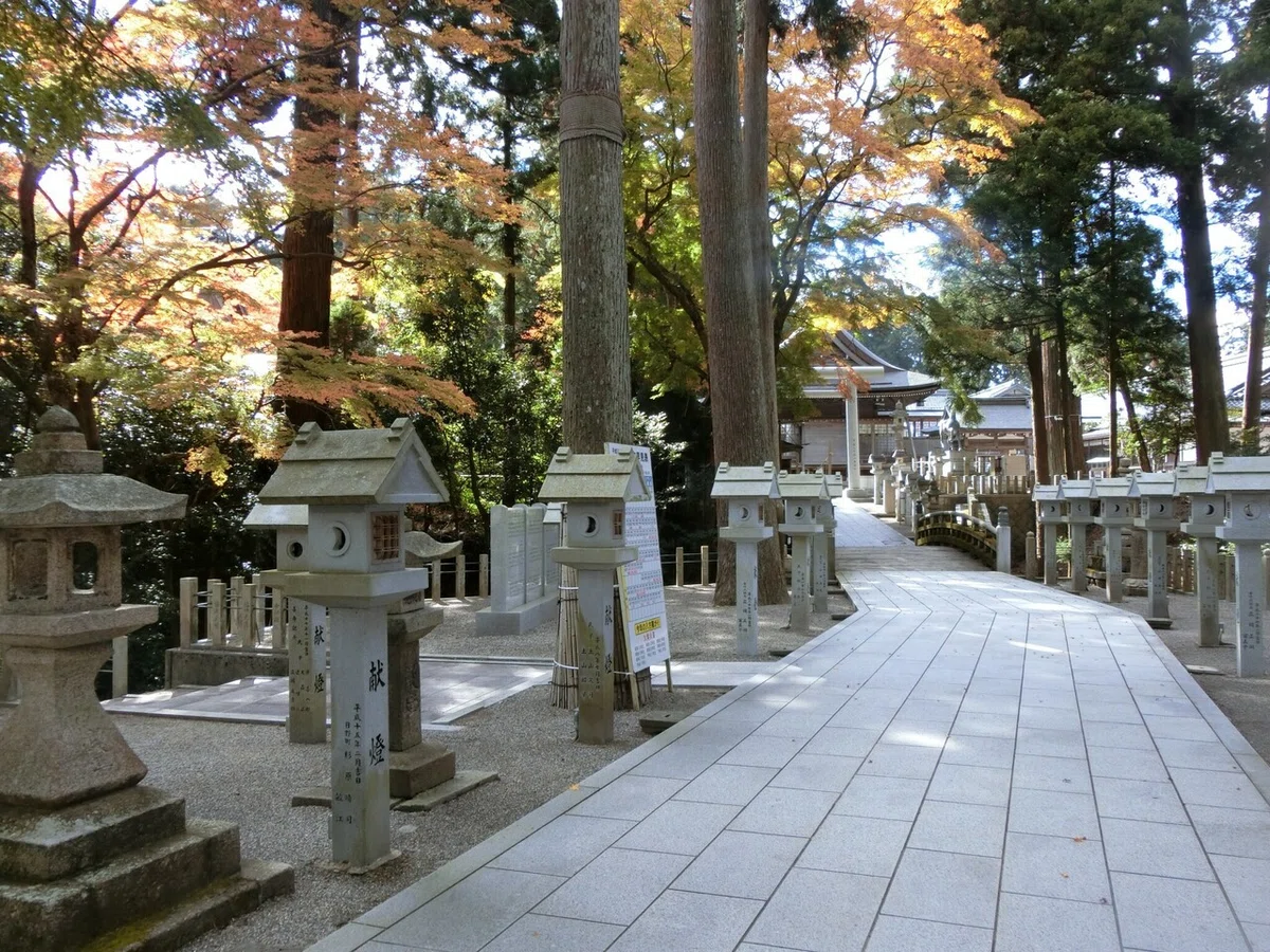 画像16