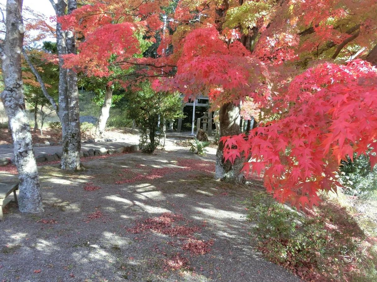 画像2