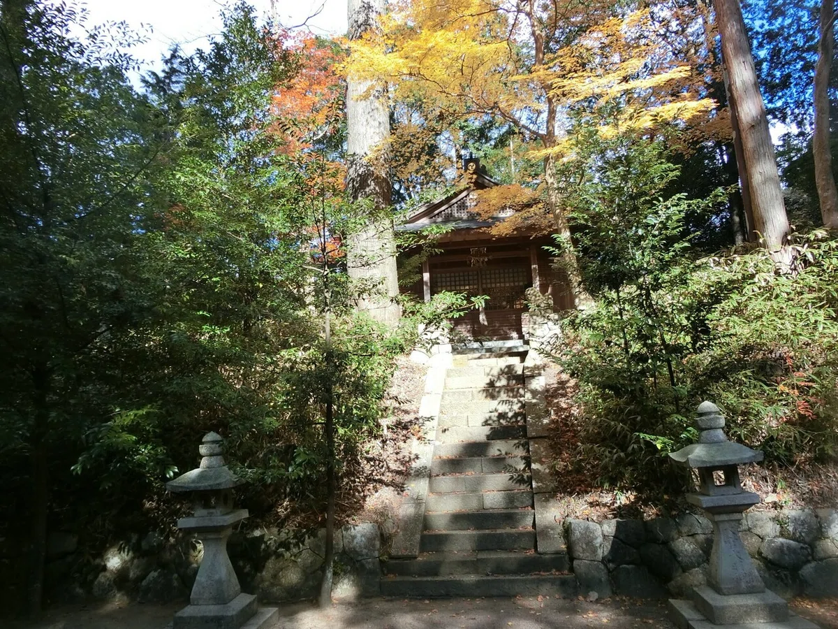 画像4