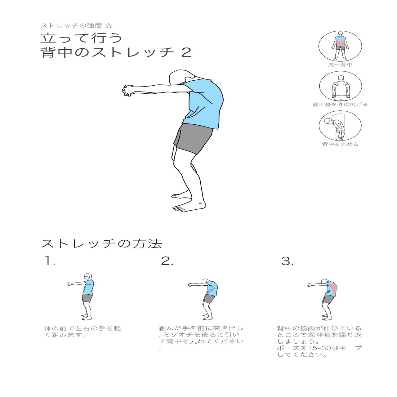 12 背中のストレッチ 鈴木 和孝 Note