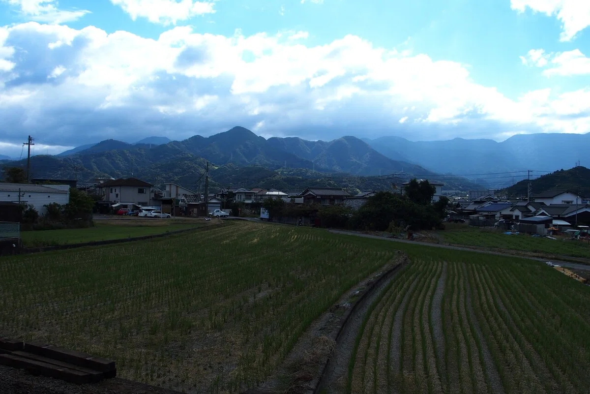 画像15