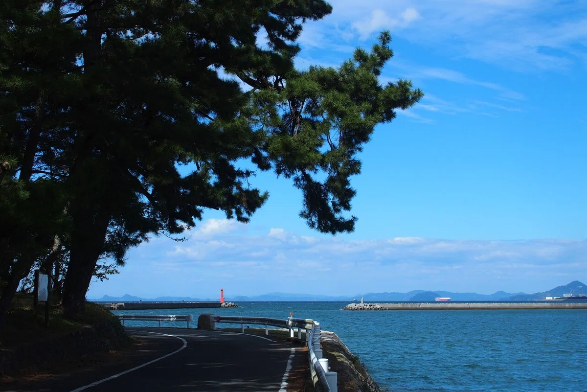 画像18