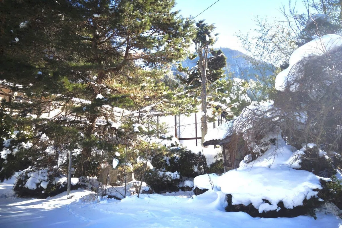 画像6