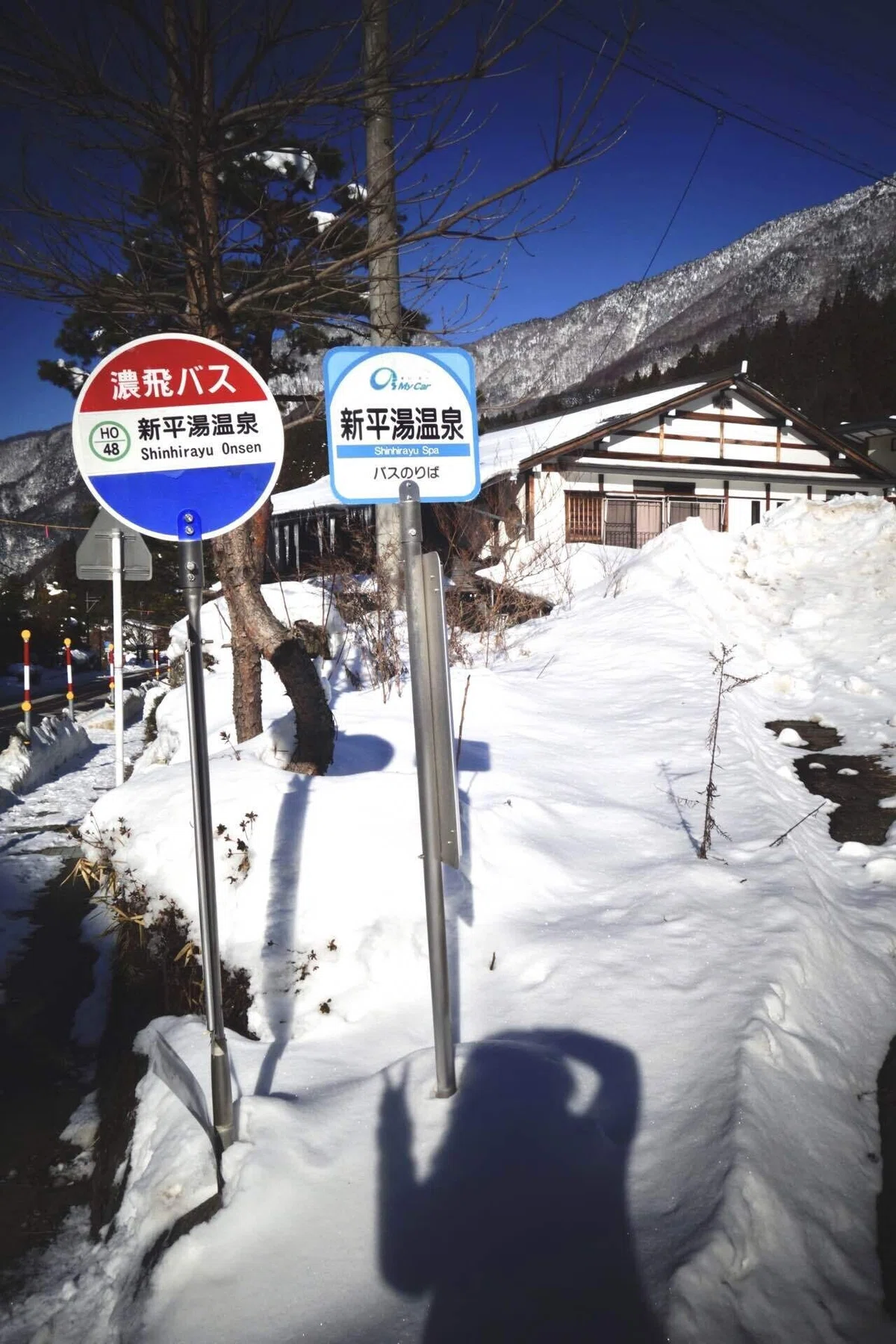 画像9
